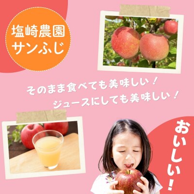 【先行予約丨2026年12月上旬より順次発送】サンふじ【約3kg(6～12玉)】
