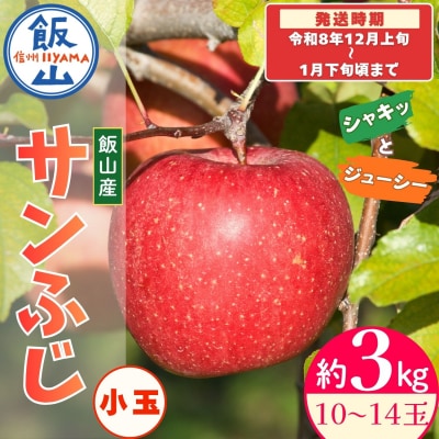 【先行予約丨2026年12月上旬より順次発送】サンふじ 小玉【約3kg(10～14玉)】