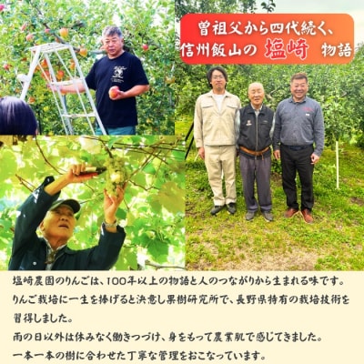 【先行予約丨2026年12月中旬より順次発送】訳あり サンふじ【約3kg(6～14玉)】