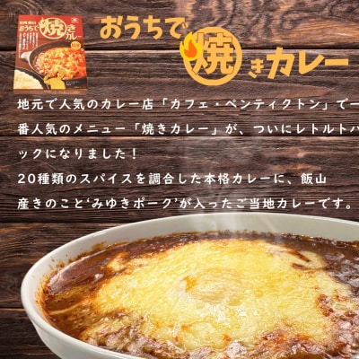 「おうちで焼きカレー」・「信州味噌入り野沢菜キーマカレー」各5箱合計10箱セット
