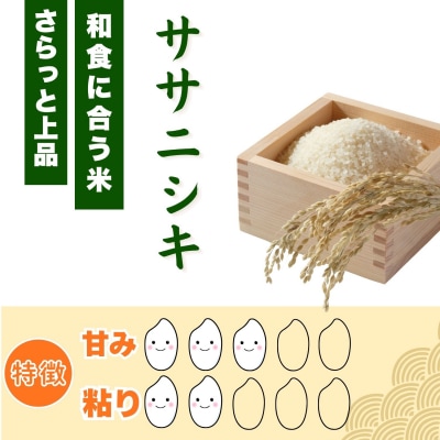 【先行予約】《 令和8年産 新米 》ササニシキ「七〇八米(なおやまい)」 精米 5kg