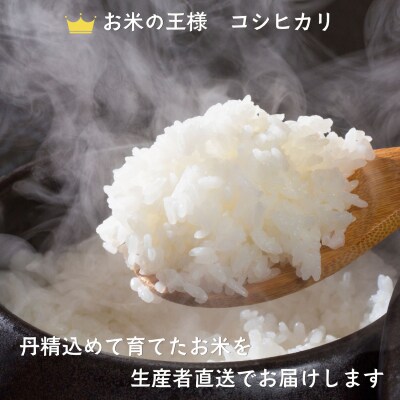 【令和8年新米予約】《定期便》こしひかり 2027年5月より10kgx3回「 木内ファームのお米」