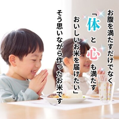 【新米予約】《定期便》 2026年10月より 玄米 5kgx3回『奥信濃の棚田米 実の里』