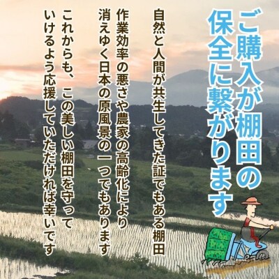 【新米予約】《定期便》 2026年10月より 玄米 5kgx3回『奥信濃の棚田米 実の里』