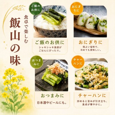 野沢菜漬 300g 5袋 合計 1.5kg《保存料・合成着色料不使用》