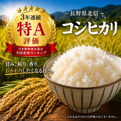 【先行予約】《新米》栽培期間中 農薬・化学肥料不使用 プレミアム米 精米 5kg 瑞穂 豊米
