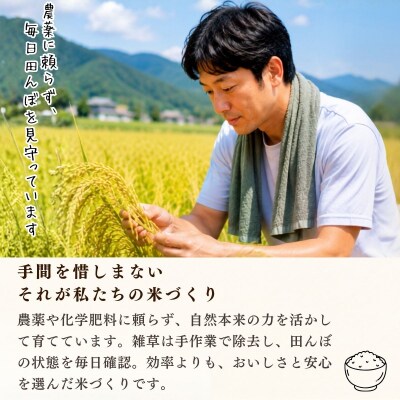 【先行予約】《新米》栽培期間中 農薬・化学肥料不使用 プレミアム米 玄米 10kg 瑞穂 豊米