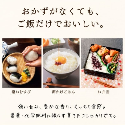 【先行予約】《新米》栽培期間中 農薬・化学肥料不使用 プレミアム米 玄米 10kg 瑞穂 豊米