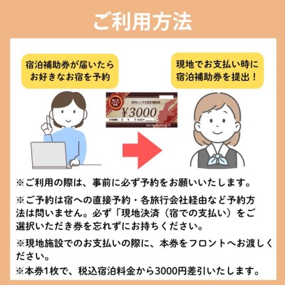 信州いいやま宿泊補助券24,000円分(3,000円x8枚)(T-4)