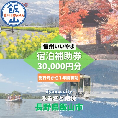 信州いいやま宿泊補助券30,000円分(3,000円x10枚)(T-5)