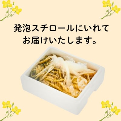 【期間限定】《2kg》  野沢菜 本漬 ～漬物屋さんが漬けた北信州の家庭の味～