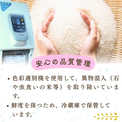 【令和8年新米予約】 雪下の力 こしひかり 無洗米 5kg 真空パック