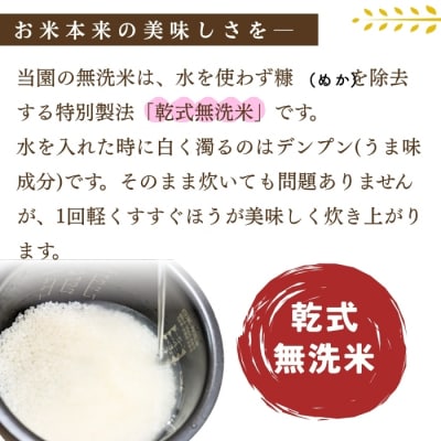 【令和8年新米予約】 雪下の力 こしひかり 無洗米 5kg 真空パック