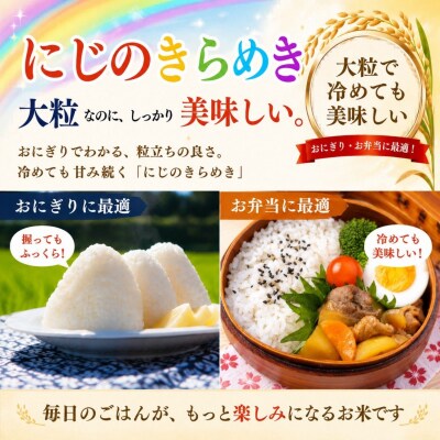【先行予約】《2026年11月より3回》 瑞穂 豊米 にじのきらめき 精米 10kg×3回
