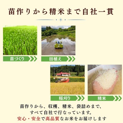 【先行予約】《2026年12月より6回》 瑞穂 豊米 にじのきらめき 精米 10kg×6回