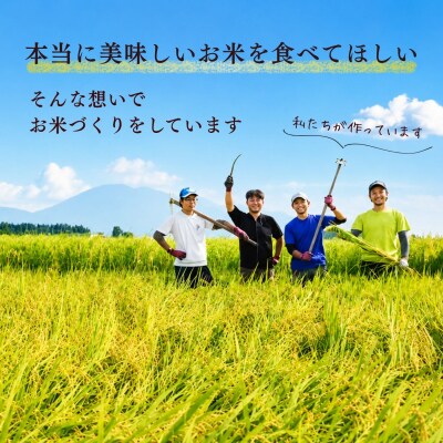 【先行予約】《2026年12月より6回》 瑞穂 豊米 にじのきらめき 精米 10kg×6回