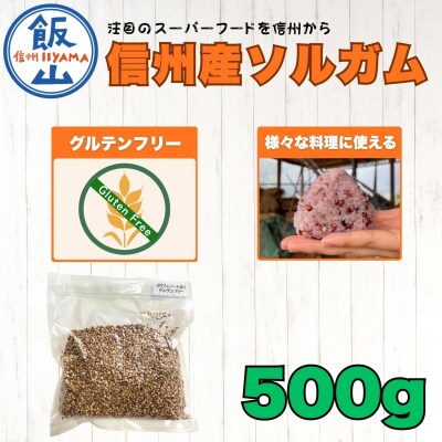 【先行予約】飯山産ソルガム 500g 1袋 《出荷時期:2026年12月中旬頃～》