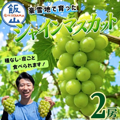 【先行予約】贈答用 シャインマスカット 2房(約1kg以上)木原果樹園