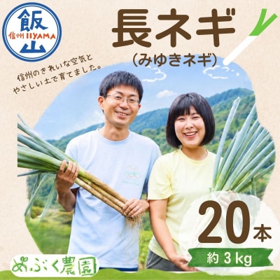 【期間限定】信州 飯山産 長ねぎ みゆきネギ 2L 20本(約3kg)│めぶく農園