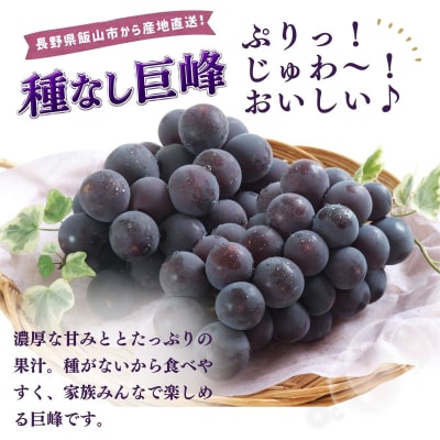 種なし巨峰 2房(約1kg以上)《2026年9月上旬より順次発送》| 木原果樹園