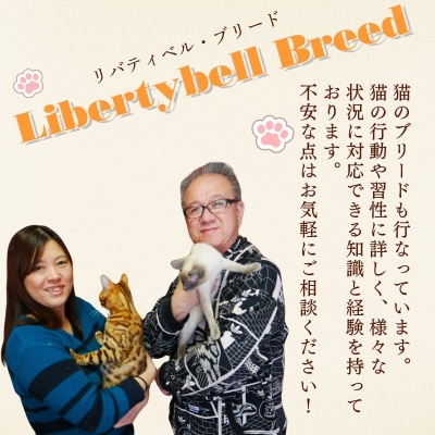 にゃんほてる&猫カフェ【利用券 3,000円分】| リバティベル・ブリード