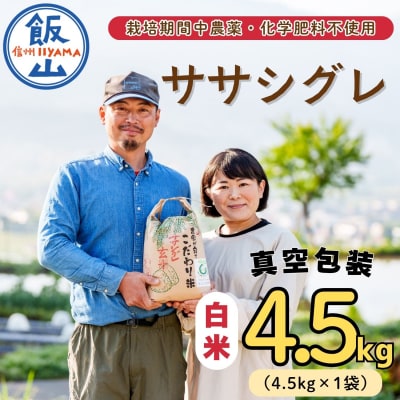 白米 【4.5kg】 令和8年産 ササシグレ 長野県産 【やよい農園】