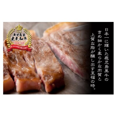 錦江町スペシャル限定Bセット  12004-2