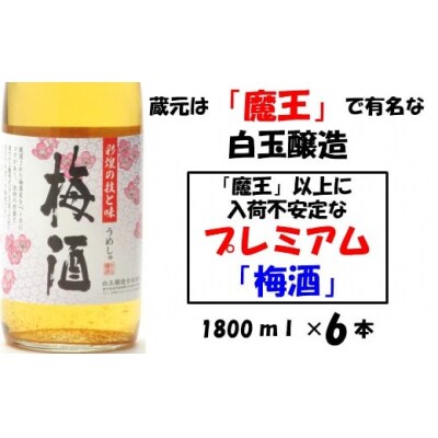 【魔王の蔵元】白玉醸造の「プレミアム梅酒」6本セット 3031-2