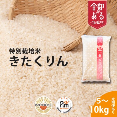 【令和8年産】特別栽培米きたくりん10kg×6回 定期便【AB-027】