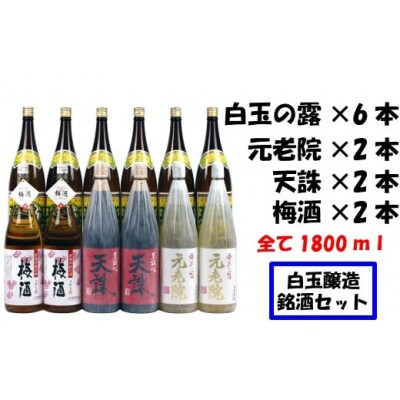 【魔王の蔵元】白玉醸造の銘酒12本セット 8001-2