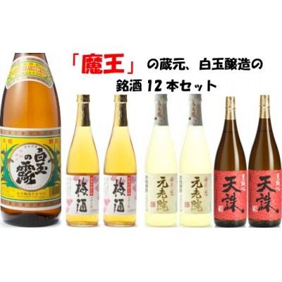 【魔王の蔵元】白玉醸造の銘酒12本セット 8001-2