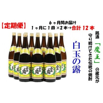 【定期便:魔王の姉妹焼酎】<白玉の露> 1升瓶×2本 6ヶ月定期配送 TK-001-2