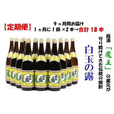 【定期便:魔王の姉妹焼酎】<白玉の露> 1升瓶×2本 9ヶ月定期配送 TK-002-2