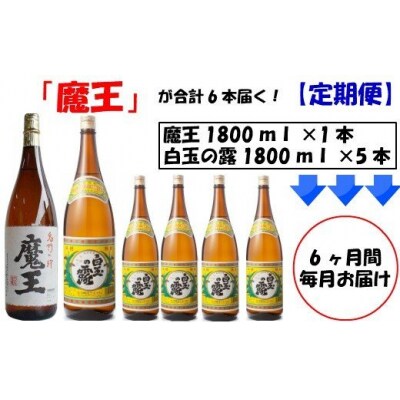 「6ヶ月定期配送」<魔王>1升瓶×6本<白玉の露>1升瓶×30本 TK-006-2