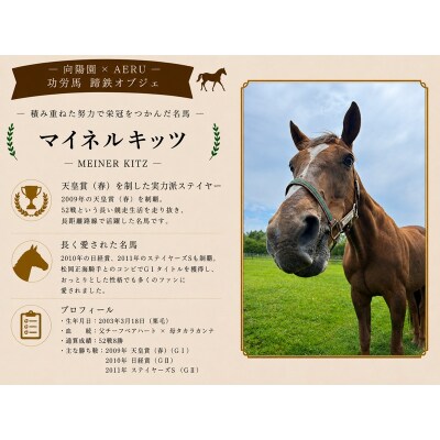 向陽園×AERU 功労馬「マイネルキッツ」蹄鉄オブジェ[35-1640]