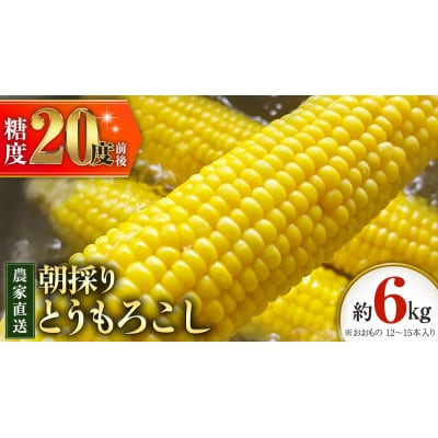 朝採り 農家直送 とうもろこし 6kg「おおもの」【先行受付 7月中旬以降発送】 [AX027ya]