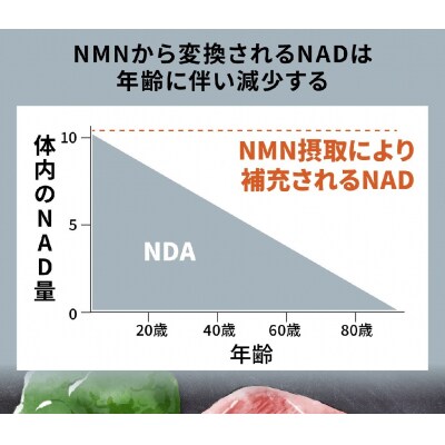 100年時代応援サプリ　NMN15000×3か月分