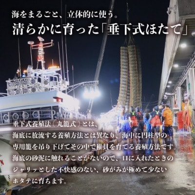 【訳あり　サイズ不揃い】北海道　遠別町産ホタテ貝柱　選べる　容量(約1kg)　帆立　刺身　冷凍
