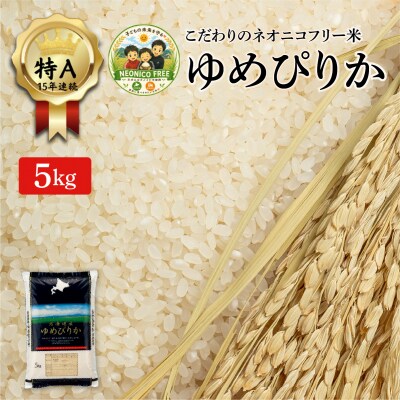 令和7年産 アグリプロ未来のゆめぴりか 5kg【a178-001】北海道 岩見沢市 北海道産 お米 