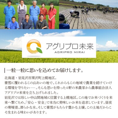 令和7年産 アグリプロ未来のゆめぴりか 5kg【a178-001】北海道 岩見沢市 北海道産 お米 