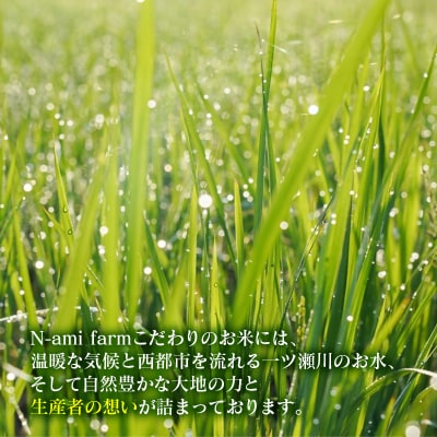【令和8年産新米・先行受付】ひのひかり 5kg　※10月中旬以降順次発送予定　精米済み [3218]