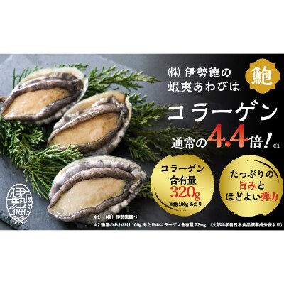 蝦夷あわび バターソテー風(75g×1)[46-1191]