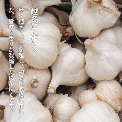 訳ありにんにくバラ(400g)北海道美頭農園産ニンニク【AK-010】