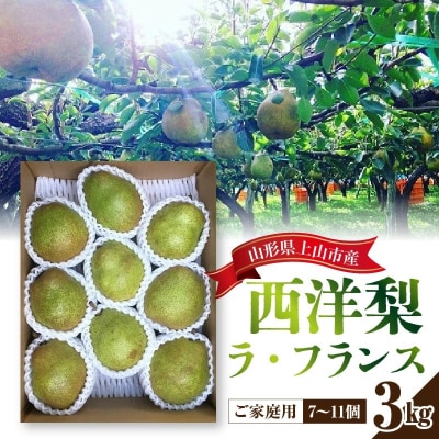 西洋梨(ラフランス)3kg　ご家庭用　0134-2601