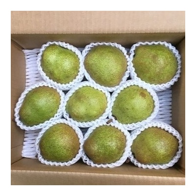 西洋梨(ラフランス)3kg　ご家庭用　0134-2601