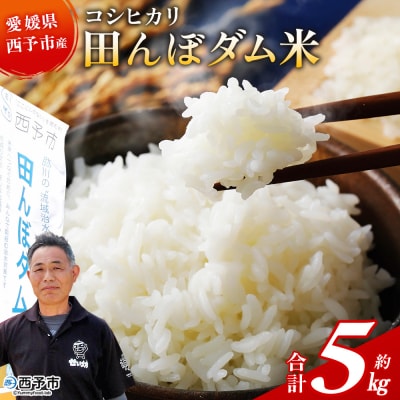 <令和8年産 愛媛県西予市産 コシヒカリ 田んぼダム米 5kg選べる 5キロ こしひかり