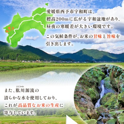 <令和8年産 愛媛県西予市産 コシヒカリ 田んぼダム米 5kg 6回定期便　