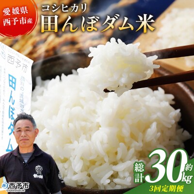  <令和8年産 愛媛県西予市産 コシヒカリ 田んぼダム米 10kg 3回定期便