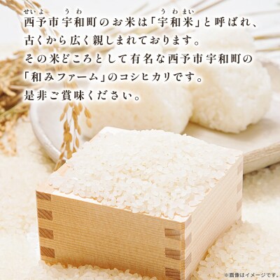 <令和8年産 愛媛県西予市産 コシヒカリ 田んぼダム米 10kg 3回定期便