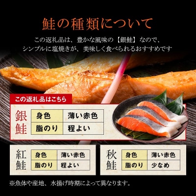 【 7日程度で発送 】 厚切り 天然甘塩銀鮭 切身 3切れ × 3パック 計9切れ